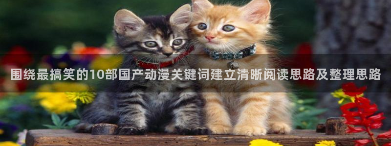 快把我哥带走动漫免费观看完整版